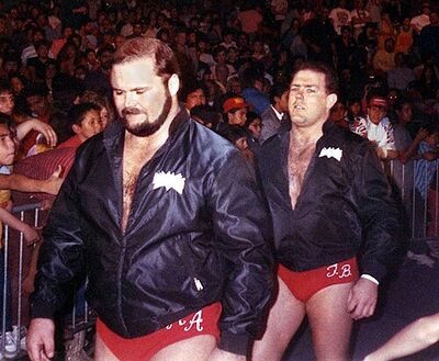 Arn Anderson