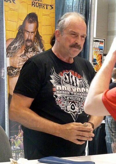 Jake The Snake Roberts
